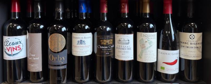 Vins de Bordeaux – Un vignoble d’exception aux multiples visages